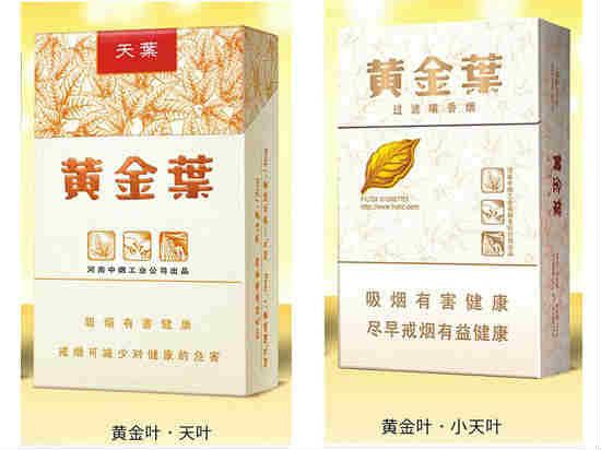 黃金葉大小天葉區別 3處辨別黃金葉大天葉與小天葉[圖解]