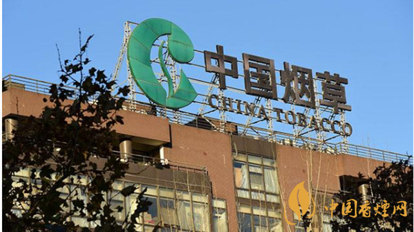 香煙漲價最新消息2020：香煙漲價真的能控?zé)焼?>
                                    <span>香煙漲價最新消息2020：香煙漲價真的能控?zé)焼?/span>
                                    <p>現(xiàn)在我國煙民的基數(shù)在不斷增大，而且有越來越多的青少年加入吸煙</p>
                                </a>
                            </li>
                                                                                </ul>
                    </div>

                </div>
            </div>
        </div>
    </div>

    
<link rel=