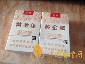 黃金葉天葉真假識(shí)別 