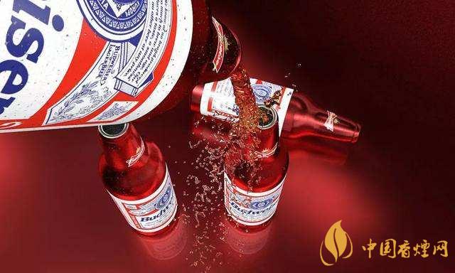 百威啤酒價格是多少 2020百威啤酒價格表一覽