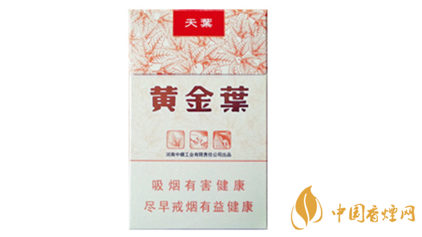 黃金葉天葉真偽怎么辨別？天葉真假如何看？