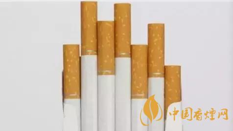 香煙和雪茄哪個(gè)好抽?香煙和雪茄八大區(qū)別介紹2020