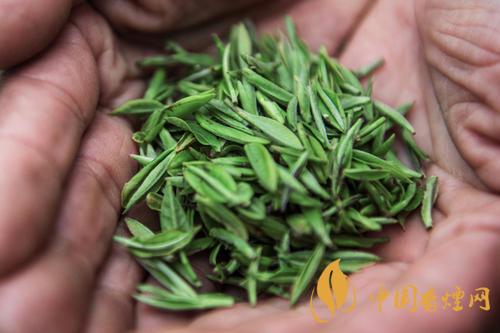 秦巴霧毫的產地在哪  秦巴霧毫多少錢一斤