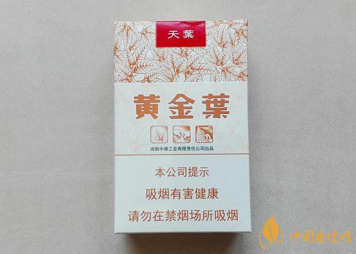 黃金葉天葉怎么區分 黃金葉天葉最新區分方法