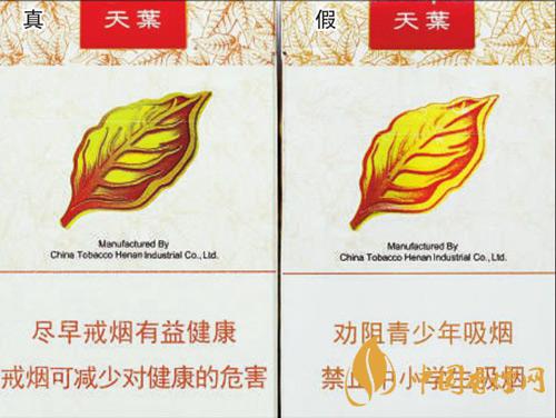 黃金葉天葉怎么區(qū)分 黃金葉天葉最新區(qū)分方法