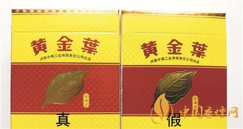 黃金葉金滿堂真假區分 2021黃金葉金滿堂區分方法