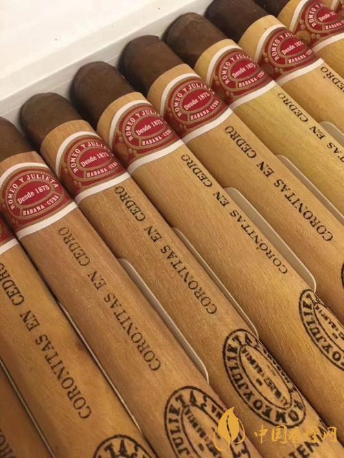 庫貝羅12號雪茄好抽嗎 庫貝羅12號雪茄價格2025
