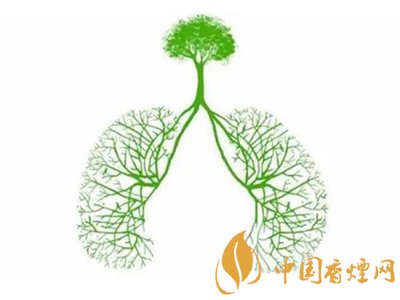 出口香煙與內銷版香煙到底有何區別?