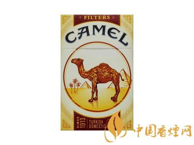 歐盟無嘴駱駝測評 趕緊來看看！