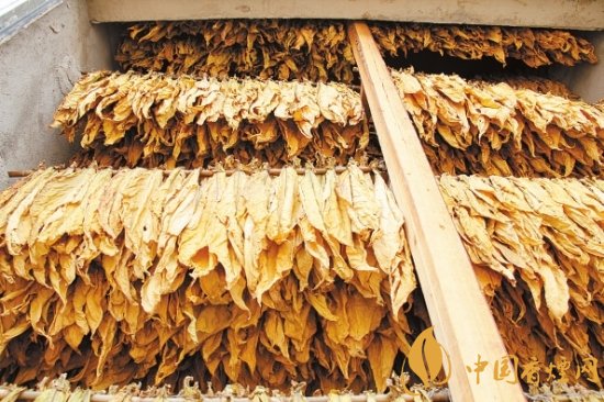 煙葉稅是什么,煙葉稅如何計算