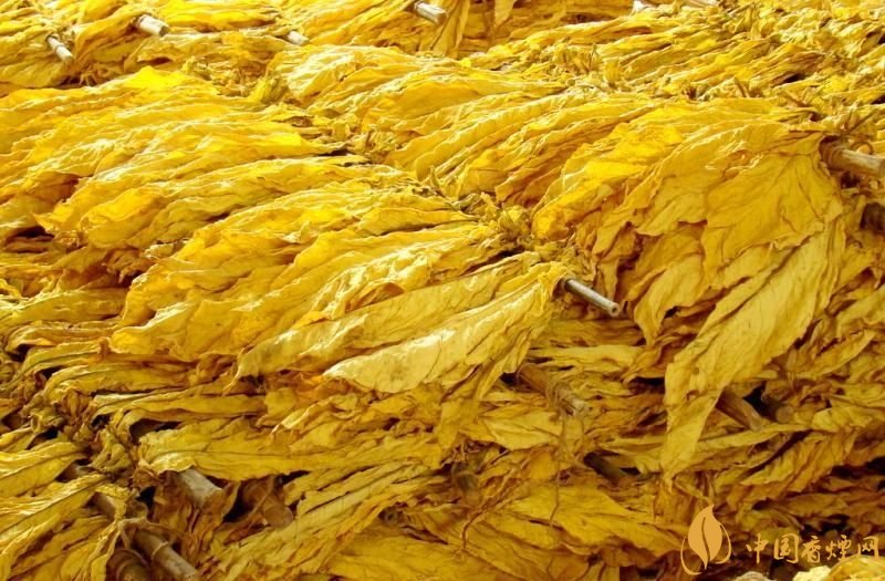 朱砂煙到底是什么煙,云煙朱砂煙有哪幾款