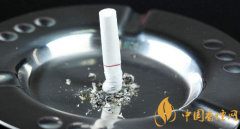 吃煙灰有毒嗎(沒毒) 煙灰有什么作用(當肥料養花)