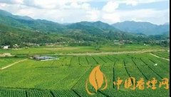 雪茄與香煙的區別 尤其要重視對身體傷害方面