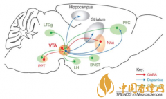 煙癮是什么 煙癮犯了怎么辦!